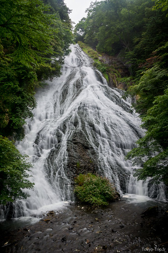 Nikko-7