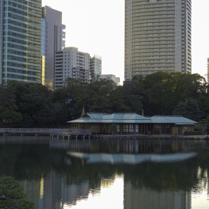 Hamarikyu paisible