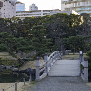 Le pont vers la lumière