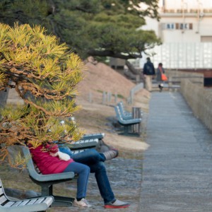 Les amoureux des bancs public