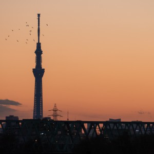 Envolé vers la Skytree