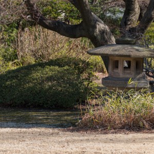 balade-au-rikugien-10