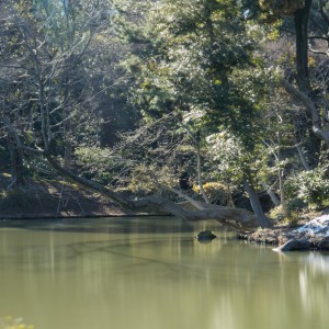 balade-au-rikugien-3