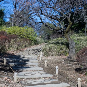 balade-au-rikugien-4